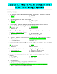 Nurs 717 Chapter 37 Structure And Function Of The Renal And Urologic Systems Hunter College In 2020 Osmotic Pressure All Nurses Structure And Function