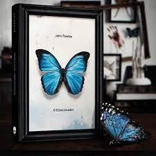 toda borboleta merece viver livre o colecionador de john fowles agora em edicao para colecionadore amantes de livros leitura de livros mundo dos livros