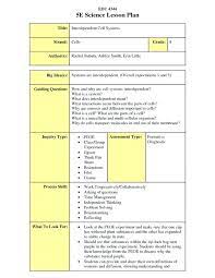 Reggio Emilia Lesson Plan Example E Learning Lesson Plan Template Reggio Emilia Lesson Plans Pd Science Lesson Plans Science Lessons Middle School Lesson Plans