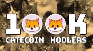 If you are looking to buy or sell catecoin, pancakeswap (v2) is currently the most active exchange. Ngvj 2zbstmi7m