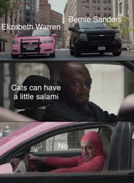 Maybe you would like to learn more about one of these? Bernie Sanders Elizabeth Warren G152 Cats Can Have A Little Salami No Me Irl Bernie Sanders Meme On Me Me