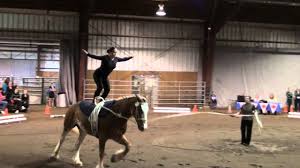 Manestream Dani Tate Stratton Compulsories Round 1 VaultCanada Individual  Canter C Women 2