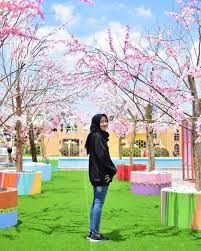 Inilah taman yang ditumbuhi ratusan bunga, baik digantung maupun di dalam pot. Wisata Ala Korea Di Celosia Happy And Fun Semarang Nggak Perlu Jauh Jauh Ke Negeri Ginseng Sana