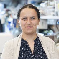 The Richard Kolesnick Lab: Lab Members