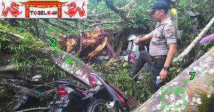 Dalam buku mimpi 2d 3d 4d abjad bermotif, ada banyak tafsiran mimpi berkaitan erek erek helm dan alam sama seperti yang akan kita ulas di bawah, tafsiran mimpi helm. Kede Alam Hari Natal 2d Kode Alam Kupu Kupu Masuk Rumah Malam Hari Togel Natal Adalah Hari Raya Yang Dirayakan Oleh Umat Nasrani Decoracion De Unas