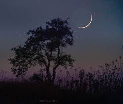 Large Very Thin Yellow Crescent Moon Next To Silhouette Of Tree Earthshine Barely Visible Moon Sunset Beautiful Sky
