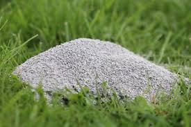 Rasen Kalken Anleitung Und Wirkung Von Rasenkalk Rasen Rasenpflege Garten