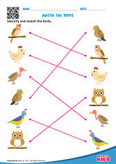 Free Printable Birds And Insects Worksheets For Pre K