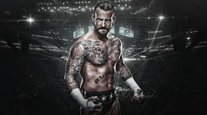 Tons of awesome ufc wallpapers hd to download for free. Ufc Wallpapers 69 Pictures