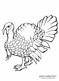 Detailed turkey advanced coloring page. 20 Terrific Thanksgiving Turkey Coloring Pages For Some Free Printable Holiday Fun Print Color Fun