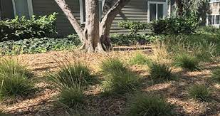 The service has changed and with the encouragement of providing $20 or whatever for a delivery fee, this company is taking away the free aspect. Request Free Mulch Using Arbor Mulch Program A Plus Tree