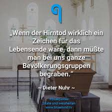 Die Besten Spruche Uber Intelligenz Bluemind Tv