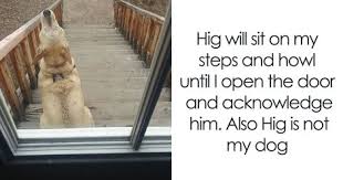 Animalistic, a tiny bit wild, and so hot! Doggy Style