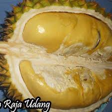 Durian yang sangat dikenal masyarakat dan durian mania karena terkenal hace un año. Asli 100 Jual Bibit Durian Raja Udang Bibit Buahku