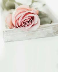 صور و خلفيات جميلة للكتابة عليها 2020 print design art flower background wallpaper graphic wallpaper