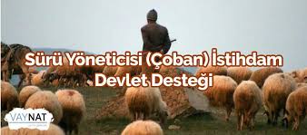 Suru Yoneticisi Coban Istihdam Devlet Destegi 2019