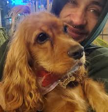 Mighty fine in Brandywine! Powered by a 300hp crate 302ci V8 engine, this  custom 1972 Ford Bronco has less than 100 miles since its completed  frame-off restoration. Selling with No Reserve at