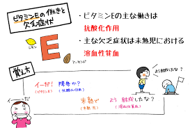 関連画像