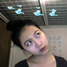 Layla Chen (hsinruchen)