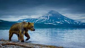 Earthday.org will have its second earth day live digital event which starts at 5pm in the uk on april 22. Bbc Earth Day 2021