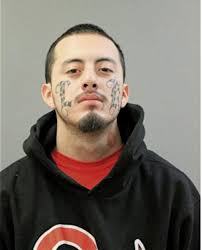 ᐅ Illinois Criminal Records 2009-2026