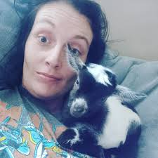 What to feed a newborn triplet goat when mom's milk hasn't come in yet?