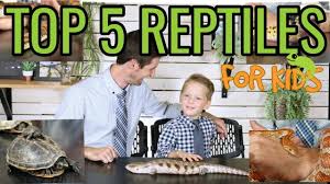 Which reptiles make the best, easiest pets? Top 5 Reptiles For Kids Youtube