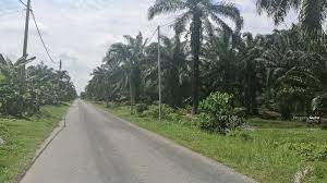 In 2012, the town was connected by south klang valley expressway. Kampung Sijangkang 42500 Telok Panglima Garang Selangor Malaysia Telok Panglima Garang Kuala Langat Selangor Agricultural Lands For Sale By Tom Lee Rm 2 750 000 23836772
