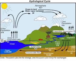 The Hydrological Cycle Hydrological Cycle Water Cycle Earth And Space Science