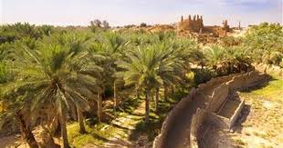 قلعة مارد الجوف Country Roads Landscape Saudi Arabia