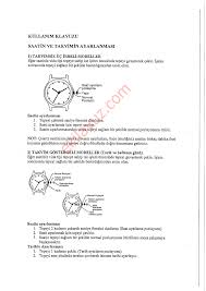 Escape Bay Bayan Kol Saati Tum Modelelr Saat Kullanma Kilavuzu Sayfa 3 Ekilavuz Com