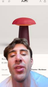 Hermes Home Decor and Necessities: Paperweights, Mushroom Paperweights, and  More!