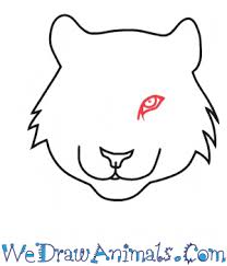 November 16, 2019 drawing tutorial category: How To Draw A Tiger Head In 4 Easy Steps