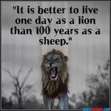 Nbsp Here You Can See Rajwadi Royal Rajput Nawabi Status And Navabi Messages For Boy In Hindi For Whatsapp R Thinking Quotes Mystic Quotes African Proverb