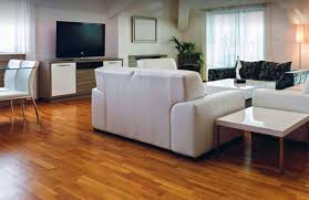 Vacuum cleaners & floor care. Advanced Flooring