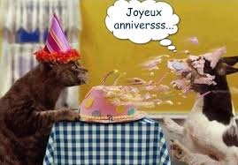 Joyeux Anniversss Anniversaire Anniversaire Drole Gateau Chats Images Joyeux Anniversaire Droles Joyeux Anniversaire Chats Joyeux Anniversaire Chien