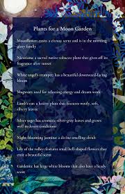 Where to buy moon garden flowers. Planting A Moon Garden Sounds True