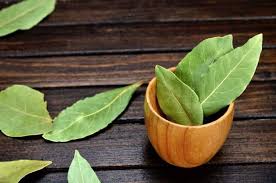 We did not find results for: Daun Salam Bagus Untuk Pengobatan Diabetes Ini Cara Gen