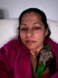 Mini Aussiedoodle missing in Schulenburg, Texas,