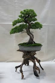 Artificial Bonsai Bonsai Trees Artificial Decor Exquisite Ideas Ikea Plants Trees Artificial Bonsai Trees Ikea Plantas Bonsai Arboles Bonsai Bonsai