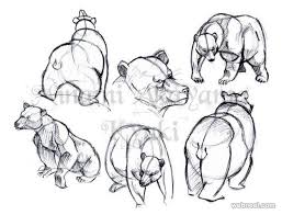 How do i paint different colors? 25 Beautiful Animal Drawings For Your Inspiration How To Draw Animals