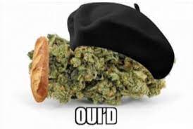 It is of french origin and dates back to the 16th century. Je M Appelle 9gag