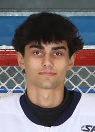 Vermont H.S. boys hockey: The Free Press All-State Boys Hockey Team