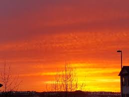 Check spelling or type a new query. What S In Store For Airdrie This Summer Discoverairdrie Com