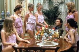 Image result for polygamy