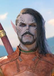 About to start playing bg3. Druid ranger or rogue? Idk what I'm doing