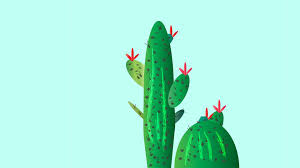 Cactus Desktop Wallpapers Top Free Cactus Desktop Backgrounds Wallpaperaccess Lenovo wallpaper, simple background, minimalism. cactus desktop wallpapers top free