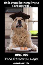 Pin On Dog Names