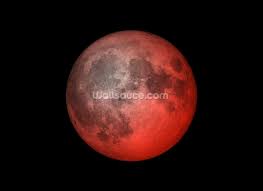 Search through our database for pink moon wallpapers and photos to find the perfect background for you. Pink Moon Wandmalerei Wallsauce De
