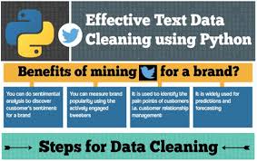 Download Infographic Steps For Text Data Cleaning Using Python Data Data Science Python